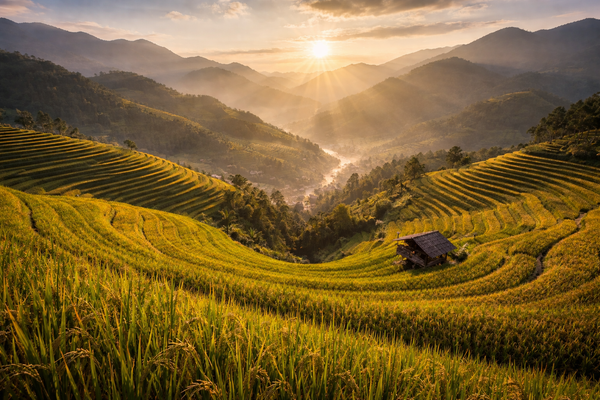 Learning a wide range of subjects can bring many drawbacks